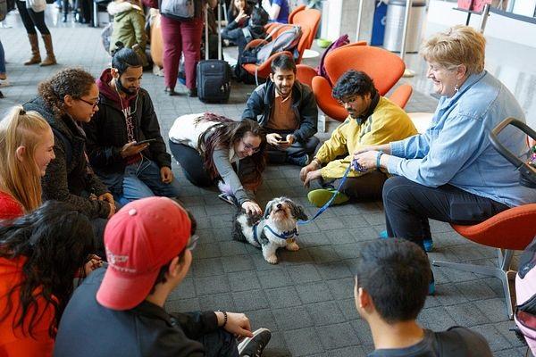 Students at the IU Indianapolis Campus Center gather around a dog for a pet therapy session.
